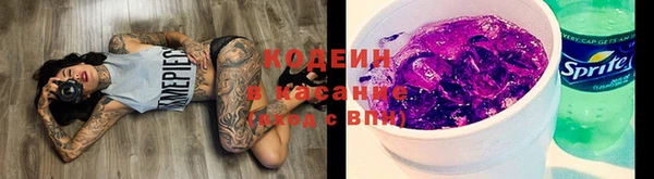 бошки Новодвинск