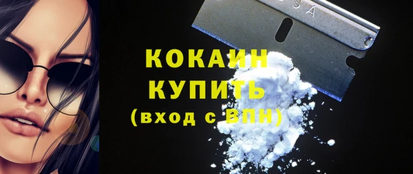 бошки Новодвинск