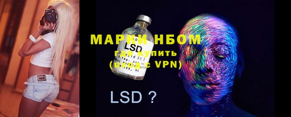 ешки Новозыбков