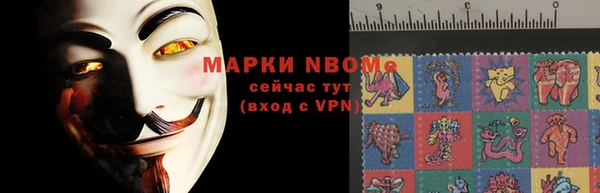 ешки Новозыбков