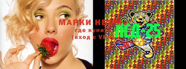 ешки Новозыбков