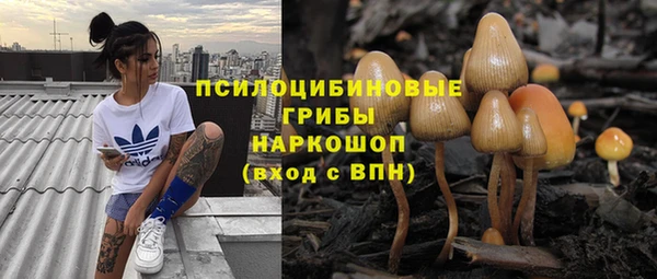 ешки Новозыбков