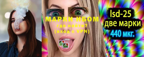 ешки Новозыбков