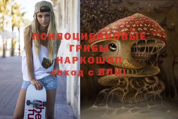 бошки Новодвинск