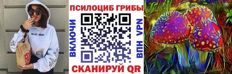 Псилоцибиновые грибы ЛСД  Пустошка 